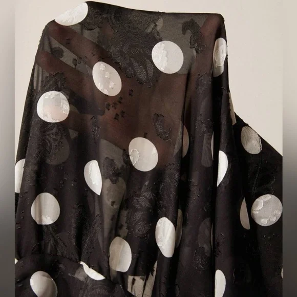 Black and White Polka Dot Sheer Chiffon Dress - Picture 5 of 5